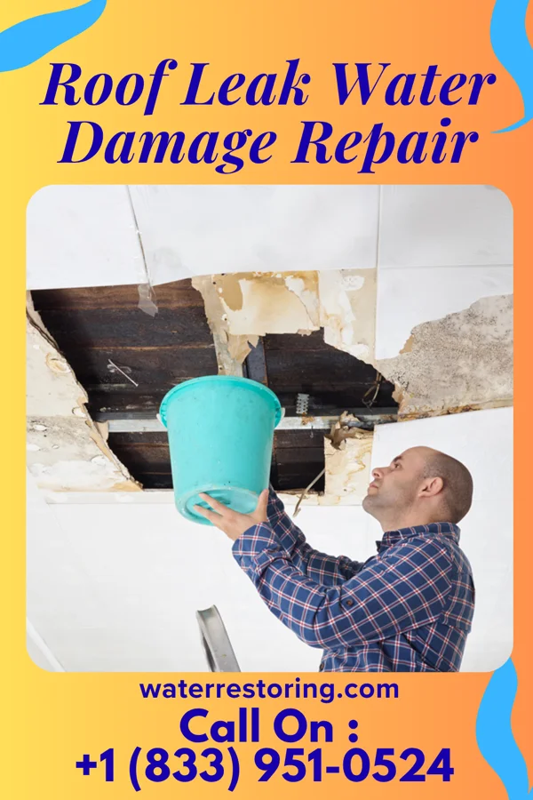 Roof Leak Water Damage Repair in Taylorsville, KY